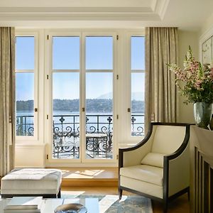 Collection Suite